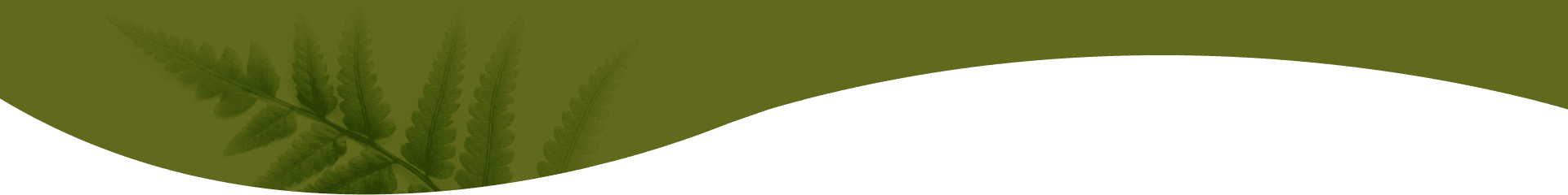 A green and brown background with a wave